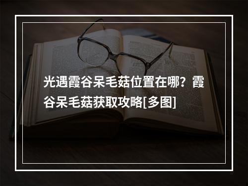 光遇霞谷呆毛菇位置在哪？霞谷呆毛菇获取攻略[多图]