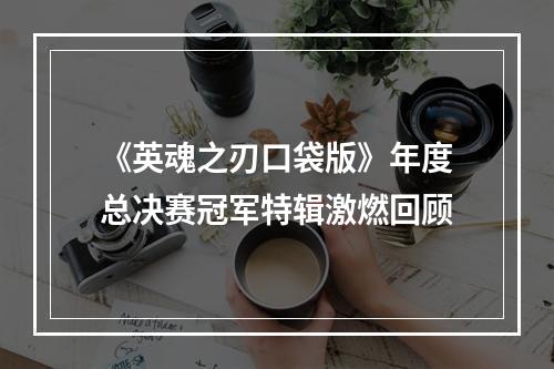 《英魂之刃口袋版》年度总决赛冠军特辑激燃回顾