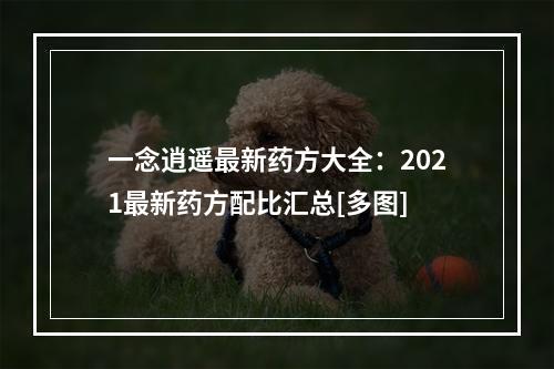 一念逍遥最新药方大全：2021最新药方配比汇总[多图]