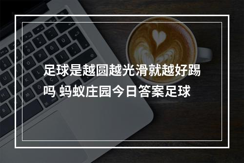 足球是越圆越光滑就越好踢吗 蚂蚁庄园今日答案足球