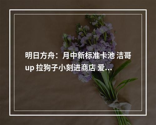 明日方舟：月中新标准卡池 洁哥up 拉狗子小刻进商店 爱狗人士狂喜