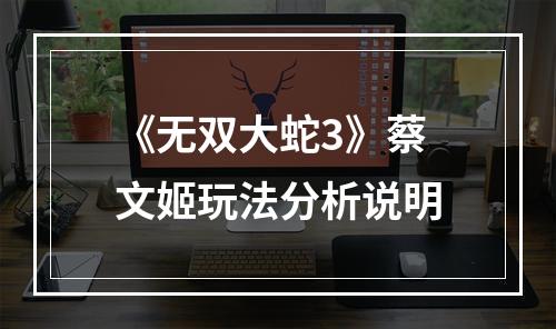 《无双大蛇3》蔡文姬玩法分析说明