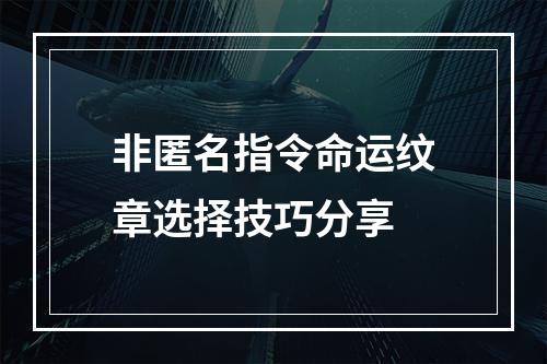 非匿名指令命运纹章选择技巧分享