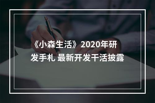 《小森生活》2020年研发手札 最新开发干活披露