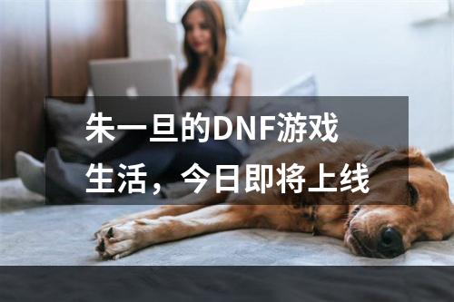 朱一旦的DNF游戏生活，今日即将上线