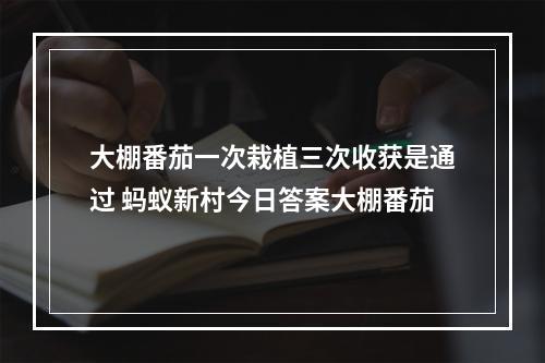 大棚番茄一次栽植三次收获是通过 蚂蚁新村今日答案大棚番茄