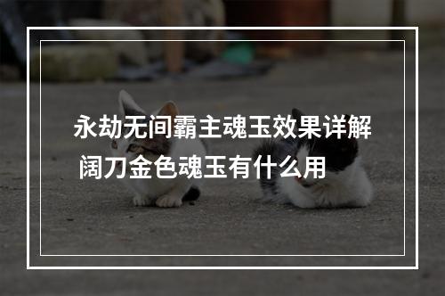 永劫无间霸主魂玉效果详解 阔刀金色魂玉有什么用