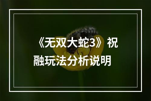 《无双大蛇3》祝融玩法分析说明