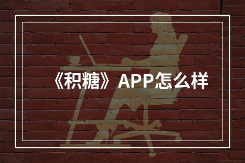 《积糖》APP怎么样