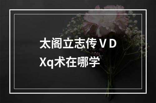 太阁立志传ⅤDXq术在哪学