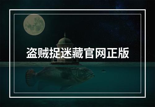 盗贼捉迷藏官网正版