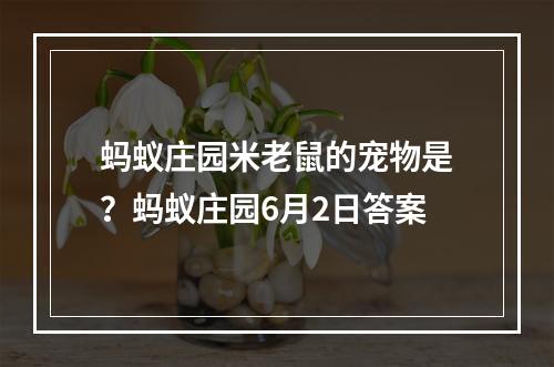 蚂蚁庄园米老鼠的宠物是？蚂蚁庄园6月2日答案