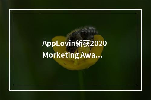 AppLovin斩获2020 Morketing Awards“灵眸奖”两大重量级奖项