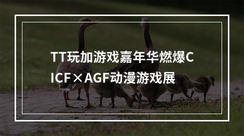 TT玩加游戏嘉年华燃爆CICF×AGF动漫游戏展