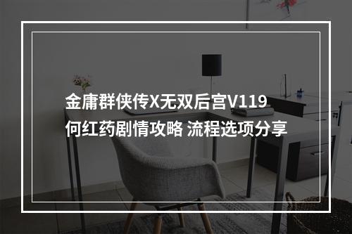 金庸群侠传X无双后宫V119何红药剧情攻略 流程选项分享