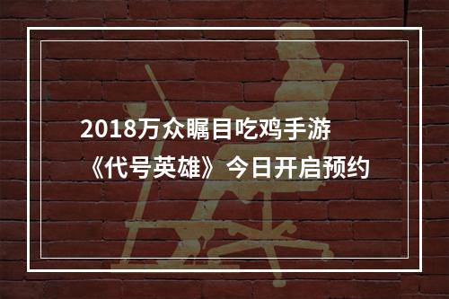 2018万众瞩目吃鸡手游《代号英雄》今日开启预约