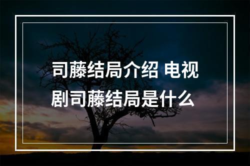 司藤结局介绍 电视剧司藤结局是什么