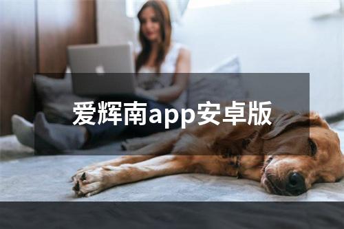 爱辉南app安卓版