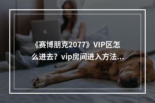 《赛博朋克2077》VIP区怎么进去？vip房间进入方法详解