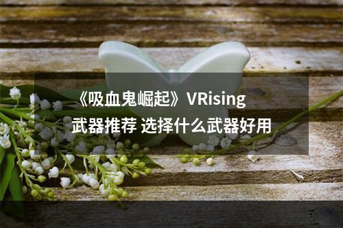 《吸血鬼崛起》VRising武器推荐 选择什么武器好用