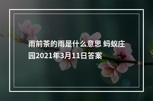 雨前茶的雨是什么意思 蚂蚁庄园2021年3月11日答案