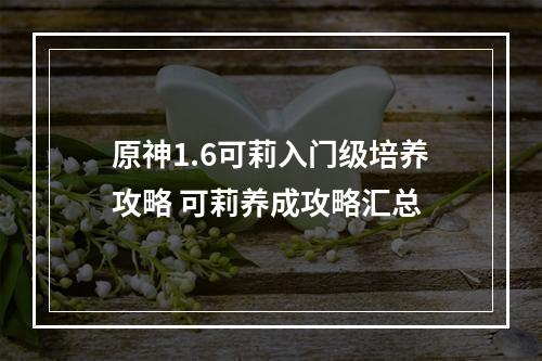 原神1.6可莉入门级培养攻略 可莉养成攻略汇总