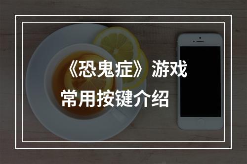 《恐鬼症》游戏常用按键介绍