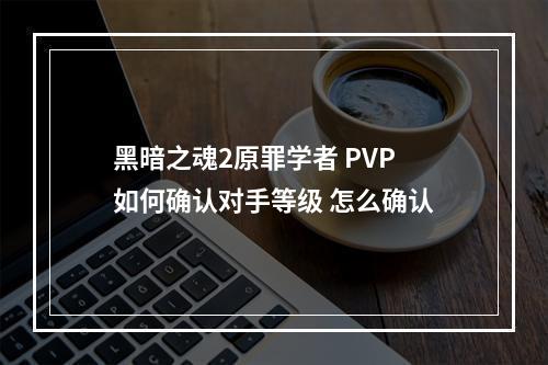 黑暗之魂2原罪学者 PVP如何确认对手等级 怎么确认