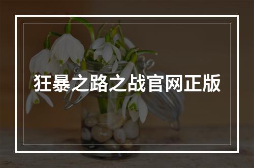 狂暴之路之战官网正版