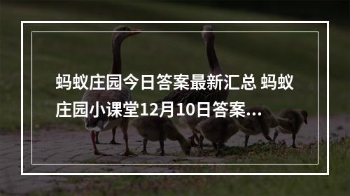 蚂蚁庄园今日答案最新汇总 蚂蚁庄园小课堂12月10日答案最新