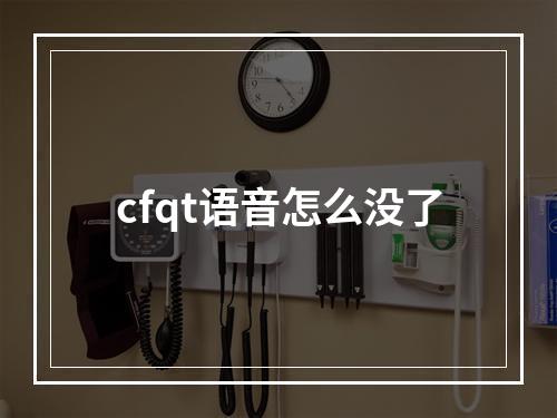 cfqt语音怎么没了