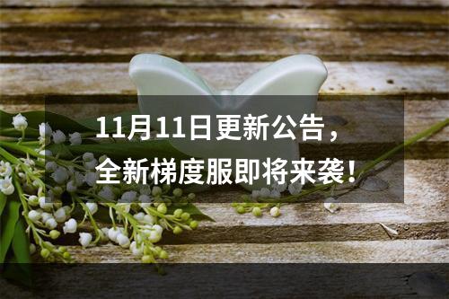 11月11日更新公告，全新梯度服即将来袭！