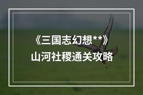 《三国志幻想**》山河社稷通关攻略