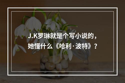 J.K罗琳就是个写小说的，她懂什么《哈利·波特》？