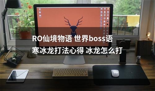 RO仙境物语 世界boss语寒冰龙打法心得 冰龙怎么打