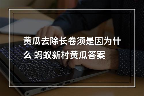 黄瓜去除长卷须是因为什么 蚂蚁新村黄瓜答案