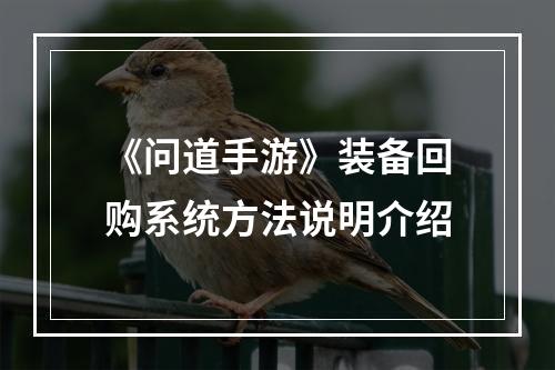 《问道手游》装备回购系统方法说明介绍