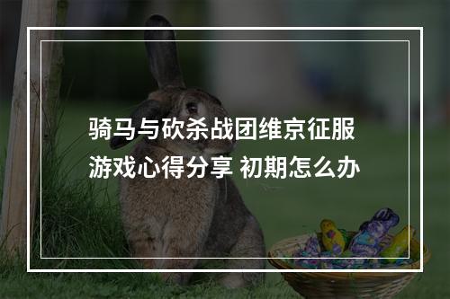 骑马与砍杀战团维京征服 游戏心得分享 初期怎么办