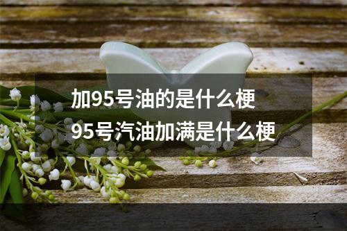 加95号油的是什么梗 95号汽油加满是什么梗