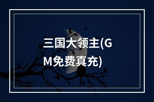 三国大领主(GM免费真充)