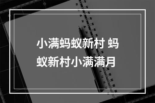 小满蚂蚁新村 蚂蚁新村小满满月