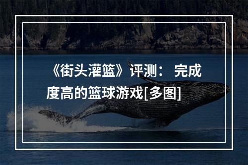 《街头灌篮》评测： 完成度高的篮球游戏[多图]