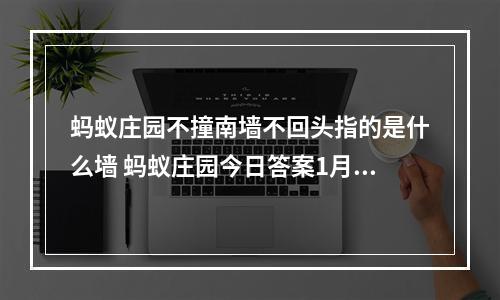 蚂蚁庄园不撞南墙不回头指的是什么墙 蚂蚁庄园今日答案1月15日