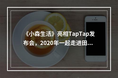 《小森生活》亮相TapTap发布会，2020年一起走进田园好时光