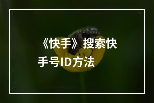 《快手》搜索快手号ID方法