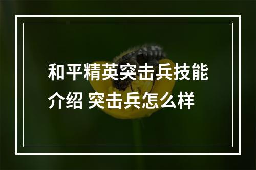 和平精英突击兵技能介绍 突击兵怎么样