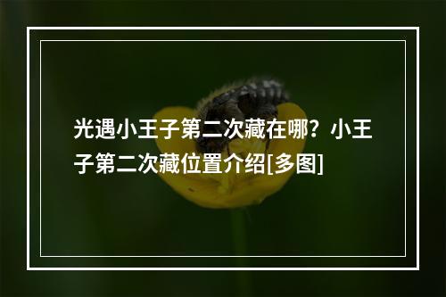 光遇小王子第二次藏在哪？小王子第二次藏位置介绍[多图]