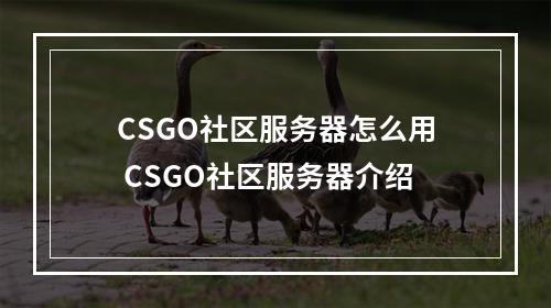 CSGO社区服务器怎么用 CSGO社区服务器介绍