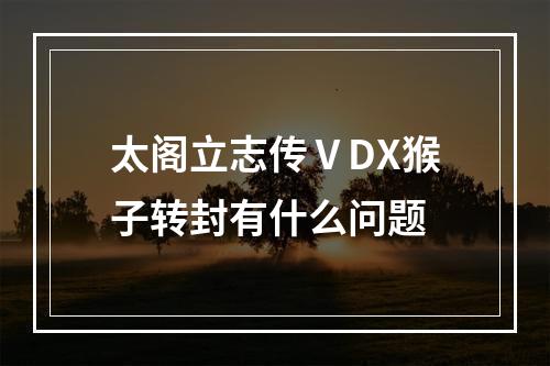 太阁立志传ⅤDX猴子转封有什么问题