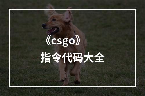 《csgo》指令代码大全